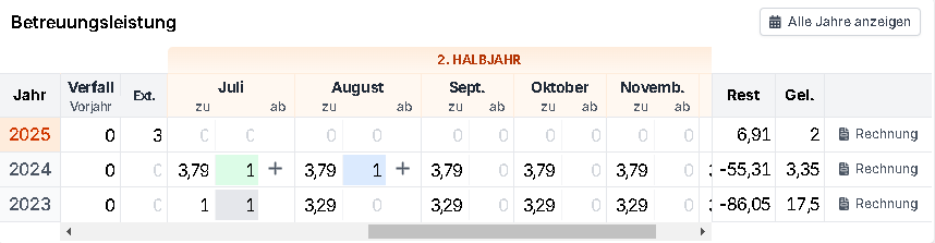 Zeiterfassung der Betreuungsleistung im 2. Halbjahr