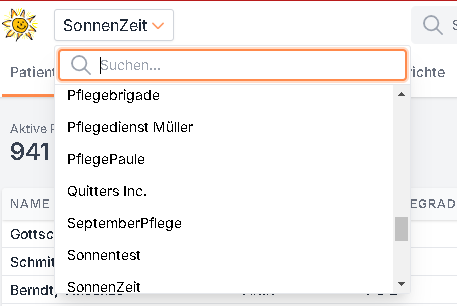 Selectfeld zum Wechseln der Organisation