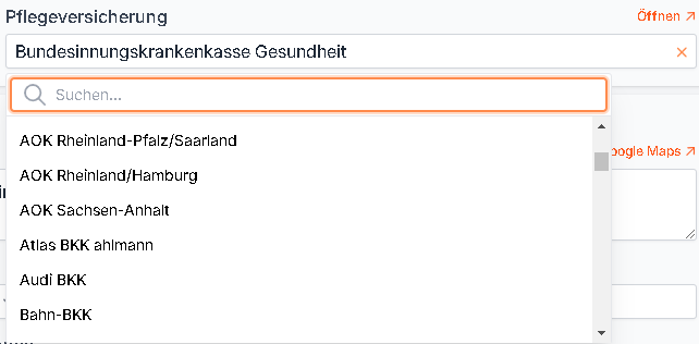 Beispielbild Selectfeld